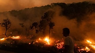 Ein Waldbrand brennt im Dorf Dikela, in der Nähe der Stadt Alexandroupolis, in der nordöstlichen Region Evros, Griechenland, 22. August 2023
