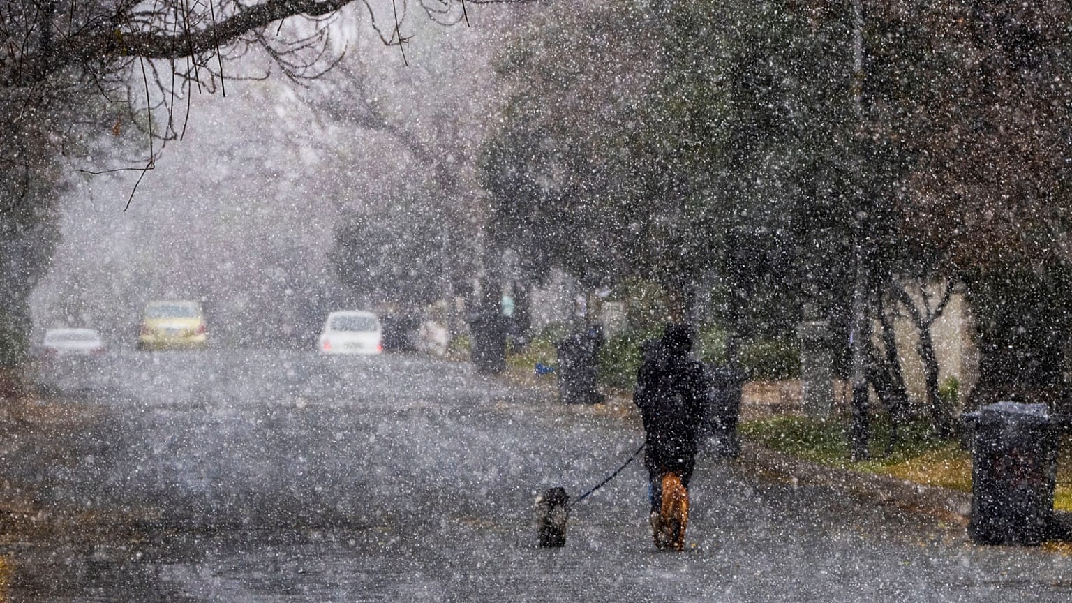 Ein Mann geht mit seinen Hunden während eines Schneesturms in Johannesburg, Südafrika, am Montag, den 10. Juli 2023, spazieren. Die Temperaturen fielen unter null Grad, als eine seltene Kaltfront Johannesburg erreichte.