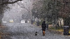 Ein Mann geht mit seinen Hunden während eines Schneesturms in Johannesburg, Südafrika, am Montag, den 10. Juli 2023, spazieren. Die Temperaturen fielen unter null Grad, als eine seltene Kaltfront Johannesburg erreichte.