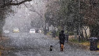 Un homme promène ses chiens pendant une tempête de neige à Johannesburg, Afrique du Sud, lundi 10 juillet 2023. Les températures sont descendues en dessous de zéro alors qu'un front froid rare a frappé Johannesburg.