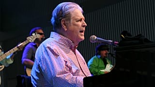 Brian Wilson actúa en el anfiteatro Elmwood Park de Roanoke, 20 de agosto de 2016.