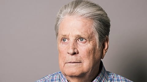 Musician Brian Wilson poses for a portrait in Los Angeles, 2 June, 2015