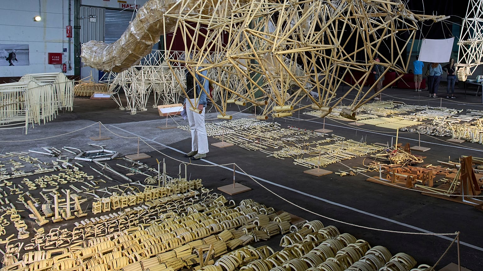 Am Donnerstag, den 5. Juni 2025, werden die Strandbiester des niederländischen Künstlers Theo Jansen, windbetriebene Kreaturen aus gelben Plastikrohren, während einer Ausstellung in Delft, Niederlande, präsentiert.