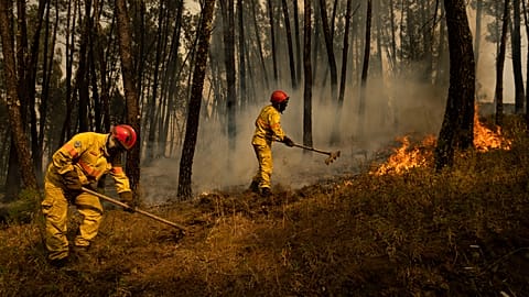 Firefighters try to extinguish a wildfire in central Portugal. July 22, 2019. 