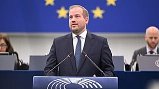 Jeroen Lenaers (EPP), rapporteur for the European Parliament text on combating the sexual abuse of children