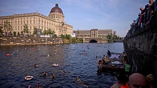 Spree nehri