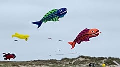 Drachen aus aller Welt steigen über der dänischen Insel Fanø auf bei der weltweit größten Zusammenkunft.