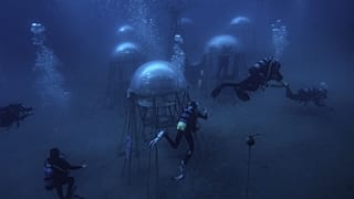 ‘Nemo’s garden’, 2021.