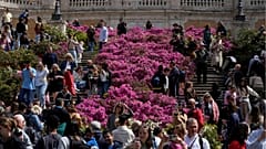 Roma