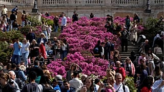 Roma