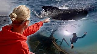 How Atlantic islands are proving tourism can help the ocean