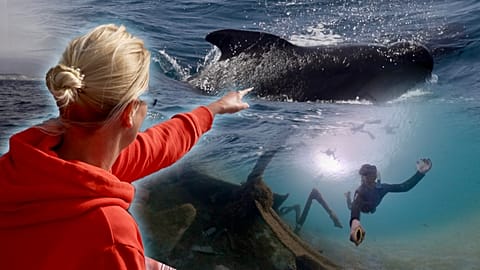 How Atlantic islands are proving tourism can help the ocean