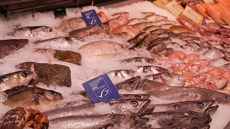 Οι ετικέτες βιωσιμότητας διαβεβαιώνουν τους πελάτες ότι υπάρχει ελάχιστη περιβαλλοντική ζημία, αλλά δεν παρέχονται λεπτομερείς πληροφορίες από τις εφαρμογές.