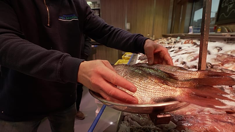 Τα ψάρια έχουν μικρό αποτύπωμα άνθρακα σε σύγκριση με το κόκκινο κρέας, αλλά πολλά ευρωπαϊκά ιχθυαποθέματα αντιμετωπίζουν δυσκολίες.