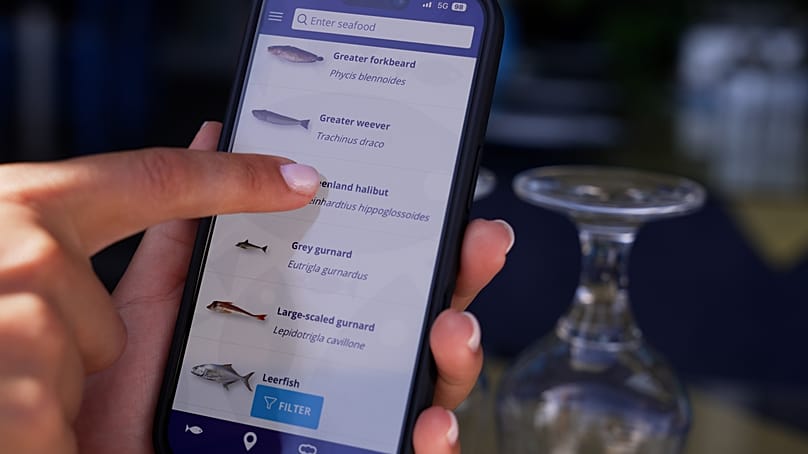 Η εφαρμογή MrGoodFish3.0 συγκεντρώνει πληροφορίες από όλη την αλυσίδα εφοδιασμού, προσθέτοντας εποχιακές προτάσεις και συνταγές.