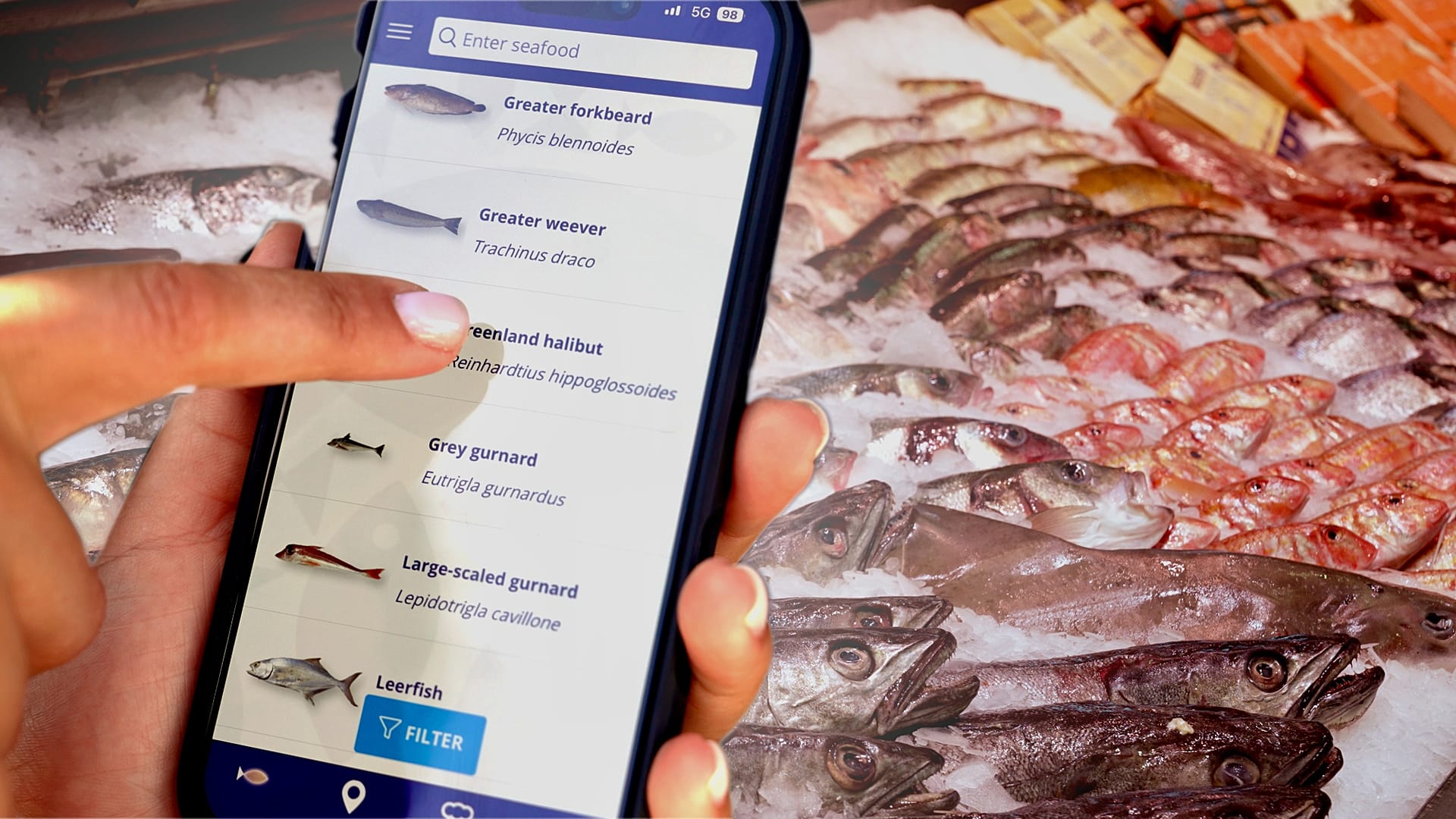 Scanner avant d'acheter : deux nouvelles applications veulent transformer l’achat de poisson