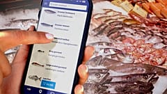 Scanner avant d'acheter : deux nouvelles applications veulent transformer l’achat de poisson