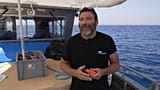 Ловись, рыбка, большая, но не маленькая: французский учёный — о спасении средиземноморского тунца