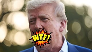 'WTF!': Donald Trump y la política del insulto