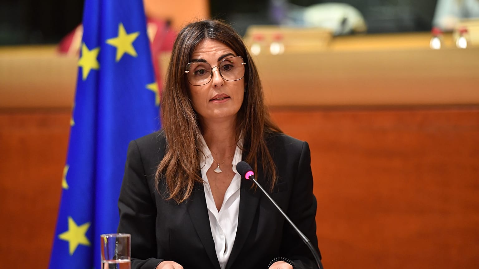 Teresa Anjinho, Defensora del Pueblo Europeo