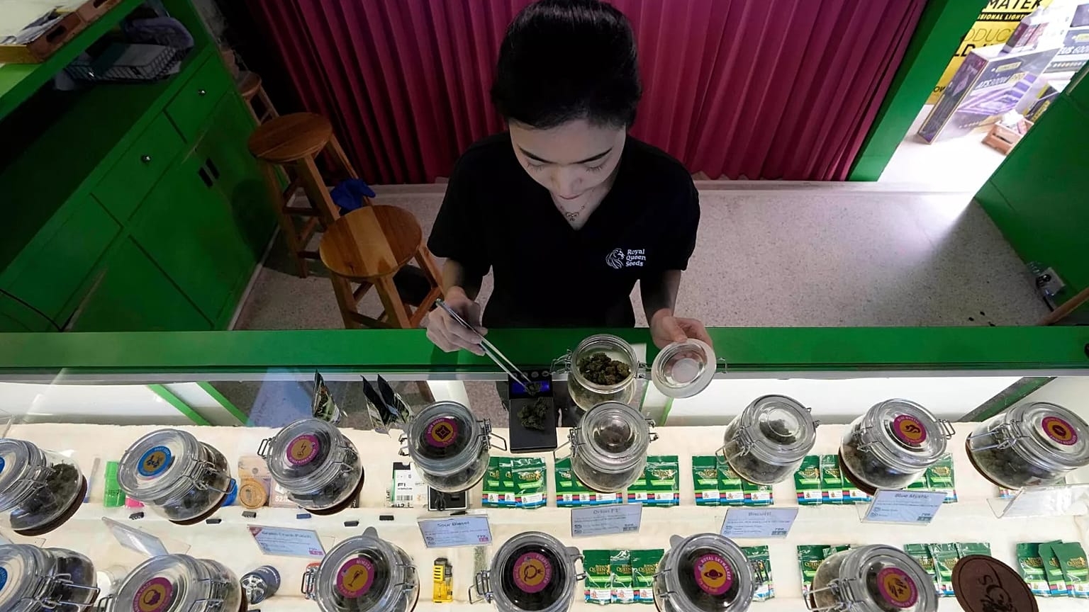 Un employé prépare des bourgeons de cannabis pour un client dans un magasin de cannabis à Bangkok, en Thaïlande, le 18 juillet 2024.