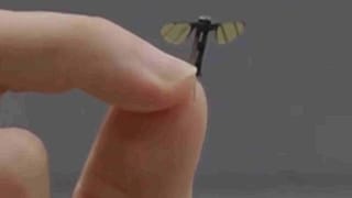 UAV cinese delle dimensioni di una zanzara, sviluppato dall'Università nazionale di tecnologia della difesa e adatto a operazioni militari segrete.