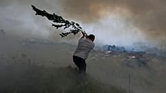  Um voluntário balança um ramo de árvore numa tentativa de evitar que um incêndio florestal atinja casas  nos arredores de Leiria, no centro de Portugal, a 12 de julho de 2022