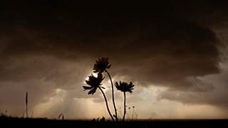 Europäische Klimaziele bis 2040 auf dem Prüfstand