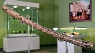 فلوت ۸ هزارساله ایران