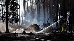Feuerwehrkräfte löschen einen Waldbrand. In Brandenburg brennt es an acht unterschiedlichen Orten. Ein Dorf musste evakuiert werden.