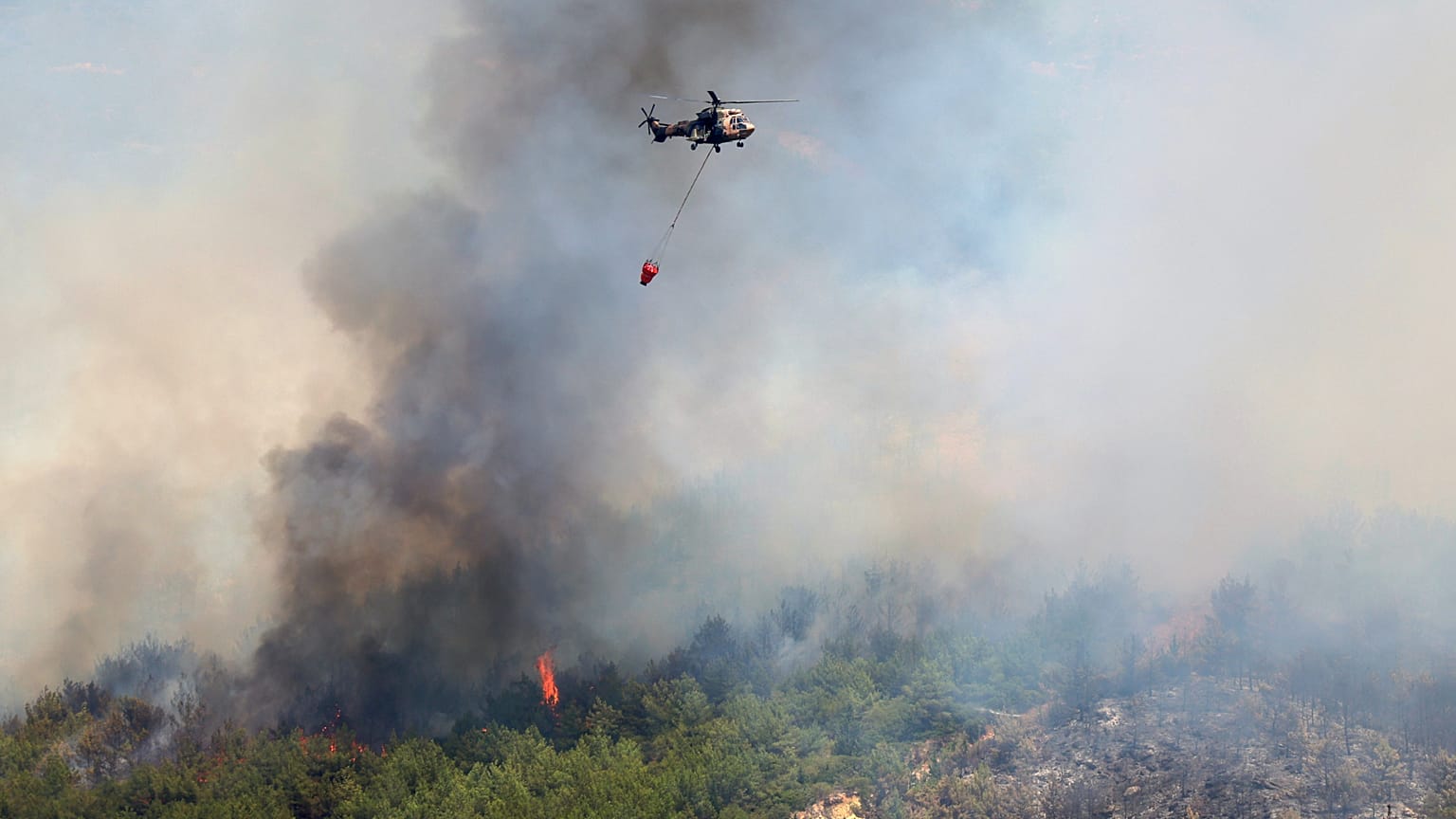 Seferihisar, İzmir, 30 Haziran 2025.