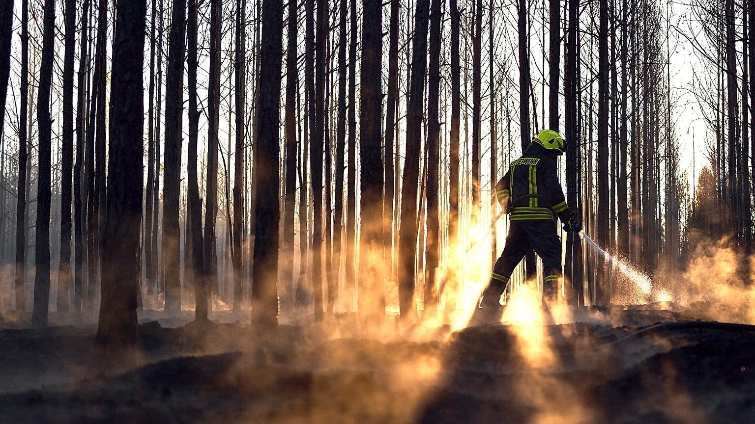 Ein großflächiger Waldbrand zwischen Sachsen und Brandenburg beschäftigt derzeit 500 Einsatzkräfte.