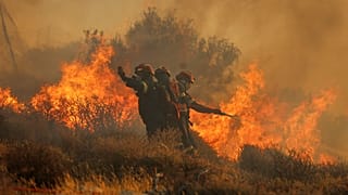 Firefighters use a hose as the try to extinguish a wildfire near the town of Ierapetra on the south coast of Crete, 3 July, 2025