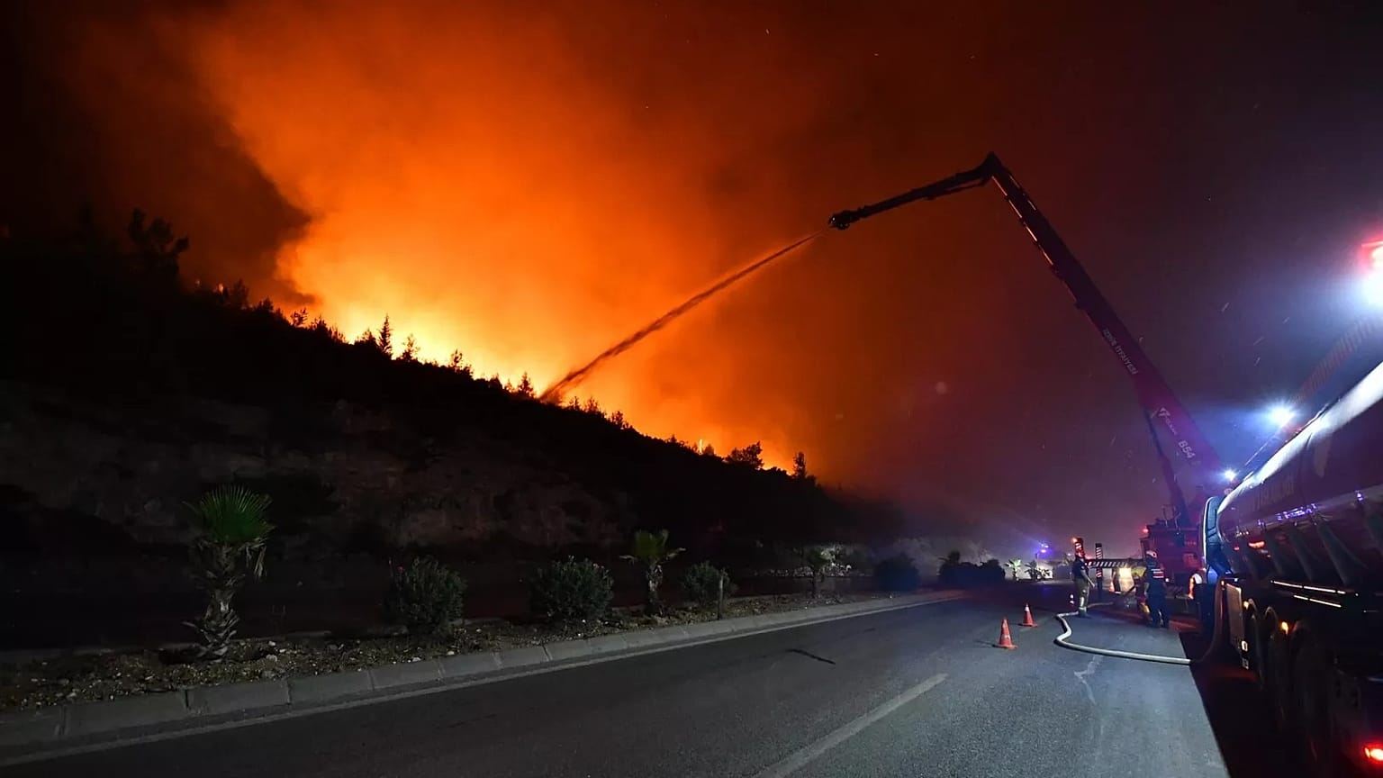 İzmir'de çıkan yangın, 3 Temmuz 2025.
