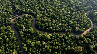 La foresta costeggia il torrente Combu, sull'isola di Combu, sulle rive del fiume Guama, vicino alla città di Belem, stato di Para, Brasile, 6 agosto 2023.