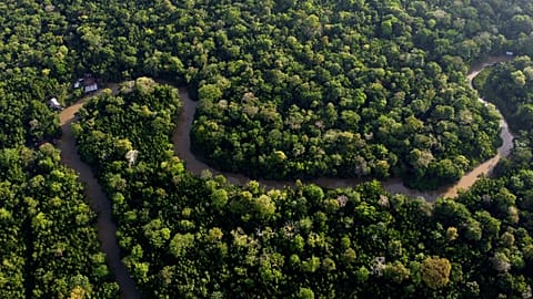 Forest lines the Combu creek, on Combu Island on the banks of the Guama River, near the city of Belem, Para state, Brazil, Aug. 6, 2023.