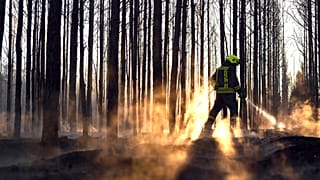 Ein Feuerwehrmann ist am Mittwoch, 2. Juli 2025, mit dem Löschen eines Flächenbrandes bei Sonnewalde in Brandenburg beschäftigt.