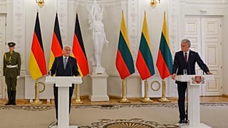 Almanya Cumhurbaşkanı Steinmeier ve Litvanya Cumhurbaşkanı Nausėda.