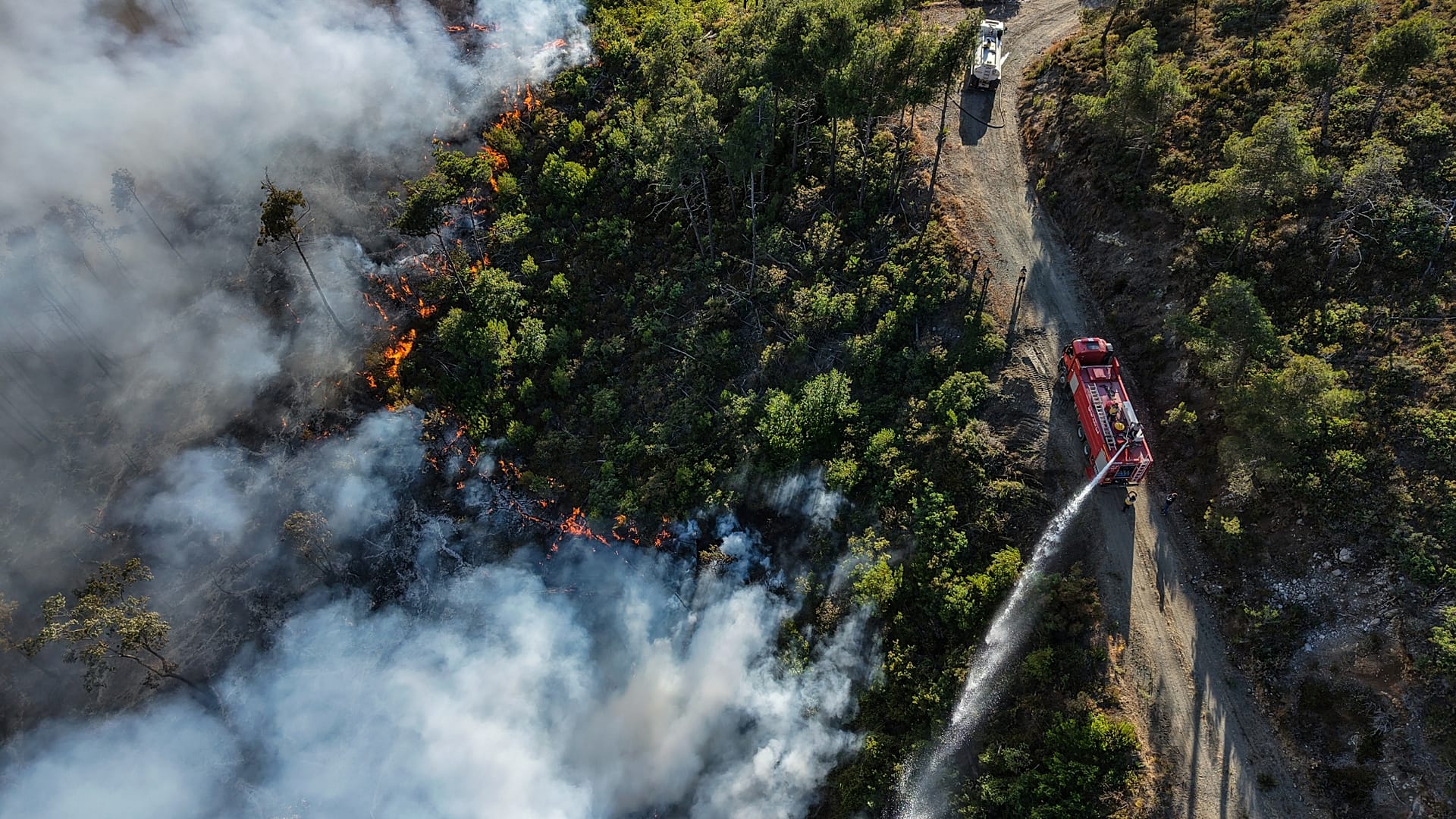 Letnie pożary są powszechne we wschodnim regionie Morza Śródziemnego, gdzie eksperci ostrzegają, że zmiany klimatyczne pogarszają sytuację.