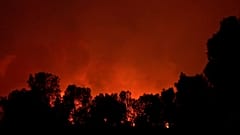 GROSSES WALDGEBIET DURCH HEFTIGEN WALDBRAND IN KATALONIEN ZERSTÖRT