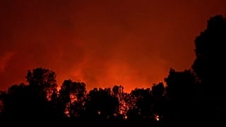 Une grande zone forestière détruite par un violent incendie en Catalogne