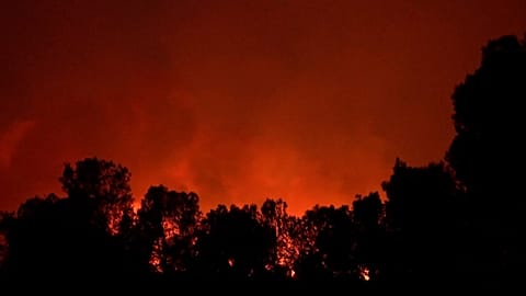 СКРИНШОТ - Большая площадь леса уничтожена сильным пожаром в Каталонии