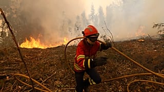 ARQUIVO. Um bombeiro corre com uma mangueira enquanto trabalha na extinção de um incêndio nos arredores de Sever do Vouga. 2024