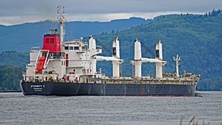 The Liberian-flagged bulk carrier Eternity C is seen near Cathlamet, 23 July, 2019