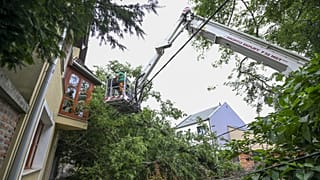 Kidőlt fa, kettétört villanyoszlop Debrecenben