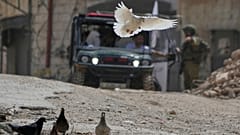 جنود إسرائيليون يتفقدون مركبة تابعة للهلال الأحمر تقوم بإجلاء سكان مخيم طولكرم للاجئين الفلسطينيين 