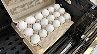 Um pacote de ovos está aberto na prateleira de uma vitrina refrigerada numa loja Walmart. Colorado. 5 de maio de 2025.
