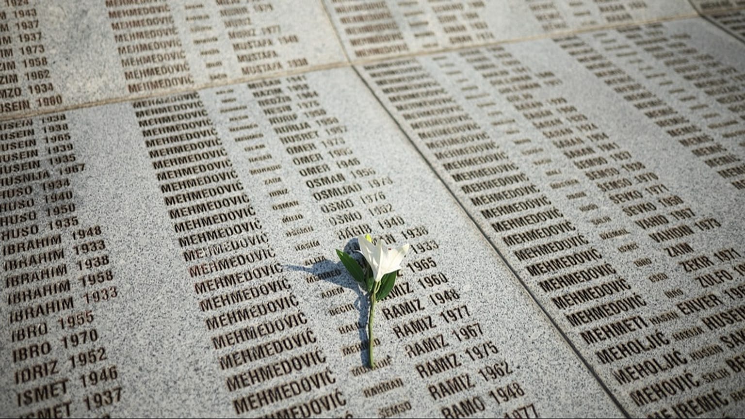 Bosna'nın Potocari kentindeki Anma Merkezi'nde Srebrenitsa soykırımında öldürülenlerin isimlerinin yazılı olduğu bir anıtın üzerinde bir çiçek görülüyor, 11 Temmuz 2025, Cuma