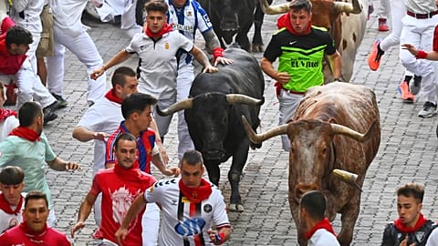 Revelers run alongside Miura's fighting bulls during the last running of the bulls at the San Fermín festival in Pamplona, Spain, Monday, July 14, 2025.