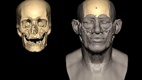 Reconstruction of the head of the man found inside a chamber in the tomb complex of Nurayrat